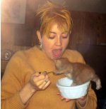 eating kittens.JPG
