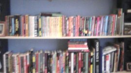 Bottom shelves