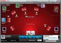 bodog 2.JPG