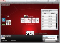 bodog 5.JPG
