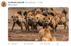 190220 JonJones Twitter 190220 JonJones Twitter