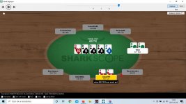 recognizing insanity - 2.jpg