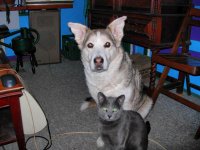 Buddies1.jpg