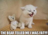 evilbear.jpg