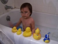 30911ducks.jpg