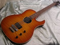 hamer 12 string bassDSCN9741.jpg