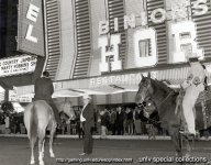 0318_0051quarterhorse.jpg