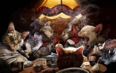 PokerCats