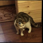 1670235286540 1670235286540