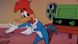 woodpecker.jpg