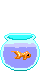 fish.gif