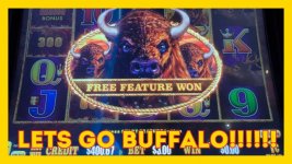 Bufflo