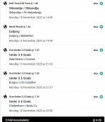 Снимок экрана 2025-11-11 063233.png