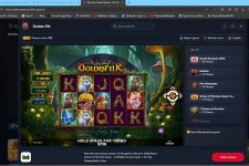 GOLDEN ELK ENDED 2025 12 05 183427 GOLDEN ELK ENDED 2025 12 05 183427