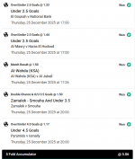 Снимок экрана 2025-12-26 064030.png