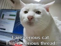 catt.JPG