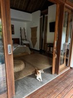 IMG_0169.jpeg