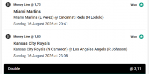 Screenshot 2026-08-17 063931.png