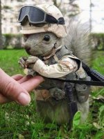 troktikosv6.jpg