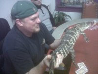 Poker Gator.jpg