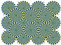 583_illusion.jpg