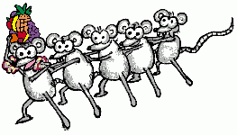Conga Rats 2.gif