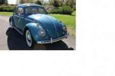 63VWbug