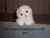the voices are telling me to kill you.jpg