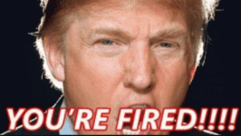 fired.gif