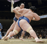 sumo.gif