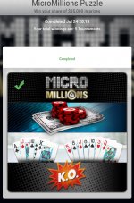MicroMillions Puzzle.jpg
