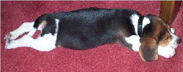 Jacksleep