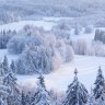 Dasha_21