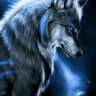 Wolf78