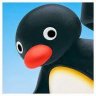 NootNoot
