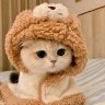 Ray_Ref