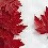 Leafy13