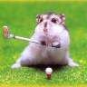 Dr of Golf