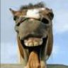 ythelongface