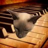 pianocat88