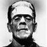FrankAllinStein