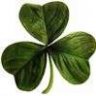 PaddyWhacked