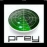 pRey336
