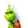 roterdama