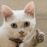 Mureahko
