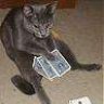 Devilpoker78