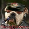 BiggDawgg