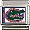 Gatordad