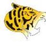 MadTiger