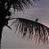 slowhand